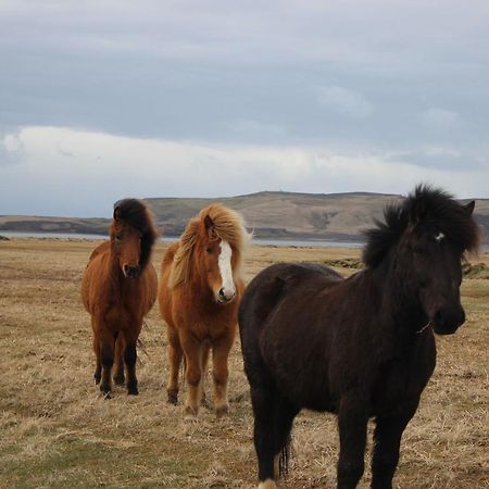 Prestshus 2 Guesthouse Vík Екстериор снимка