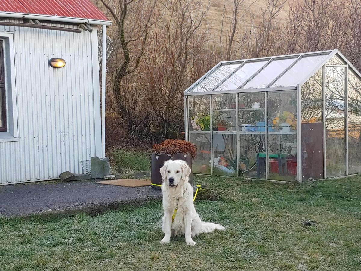 Prestshus 2 Guesthouse Vík Екстериор снимка