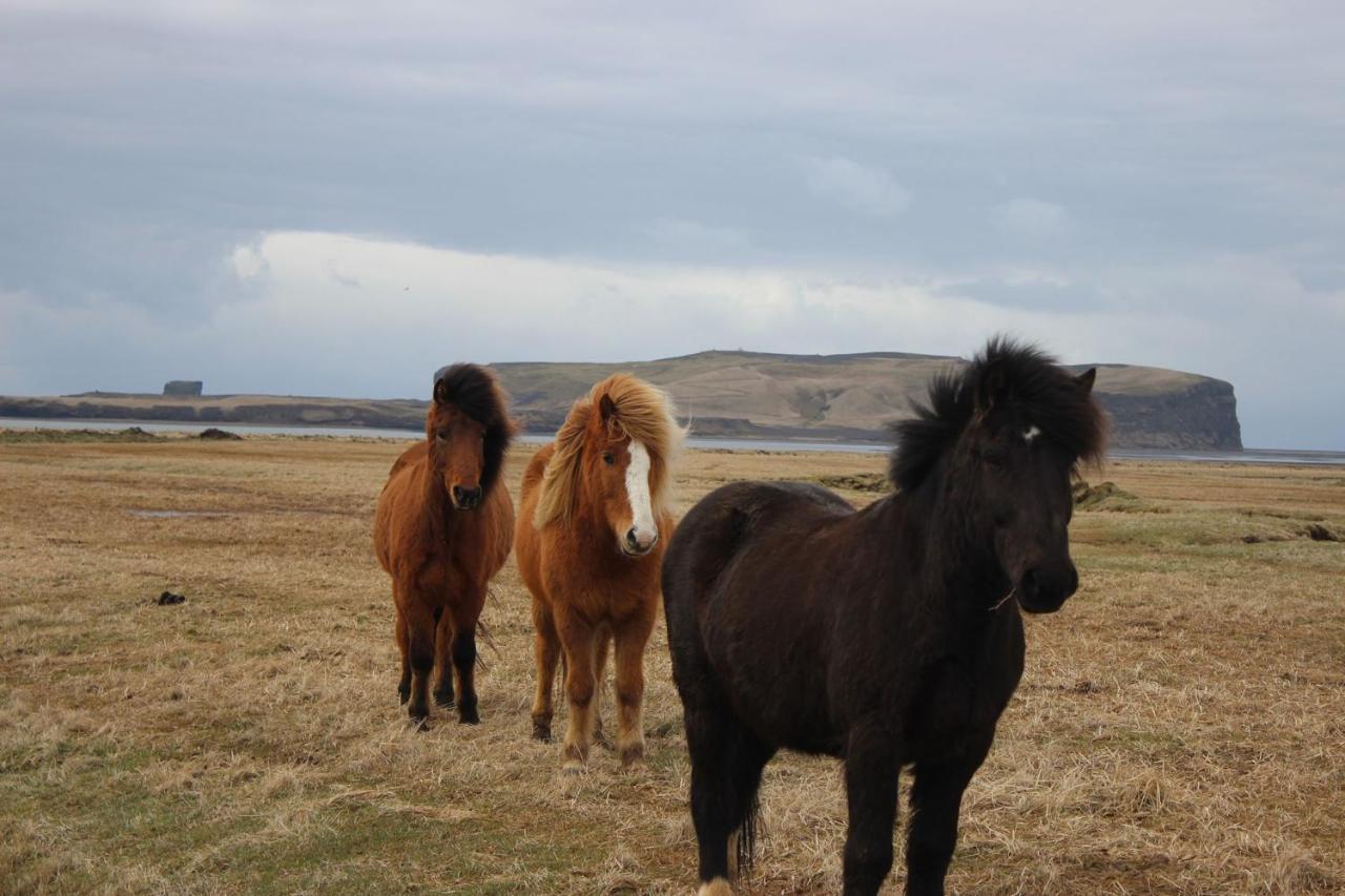 Prestshus 2 Guesthouse Vík Екстериор снимка